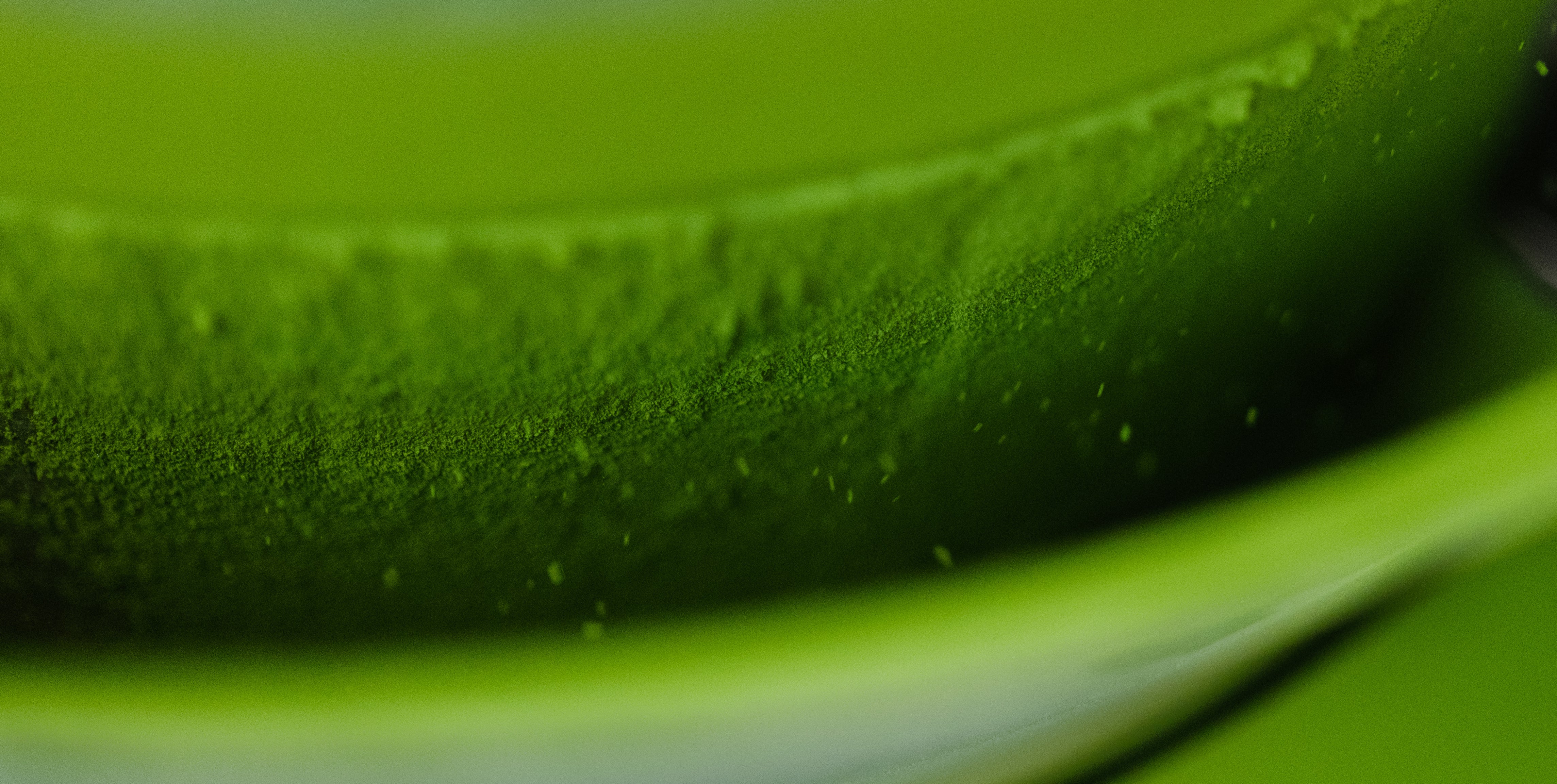 Closeup of Matcha Powder