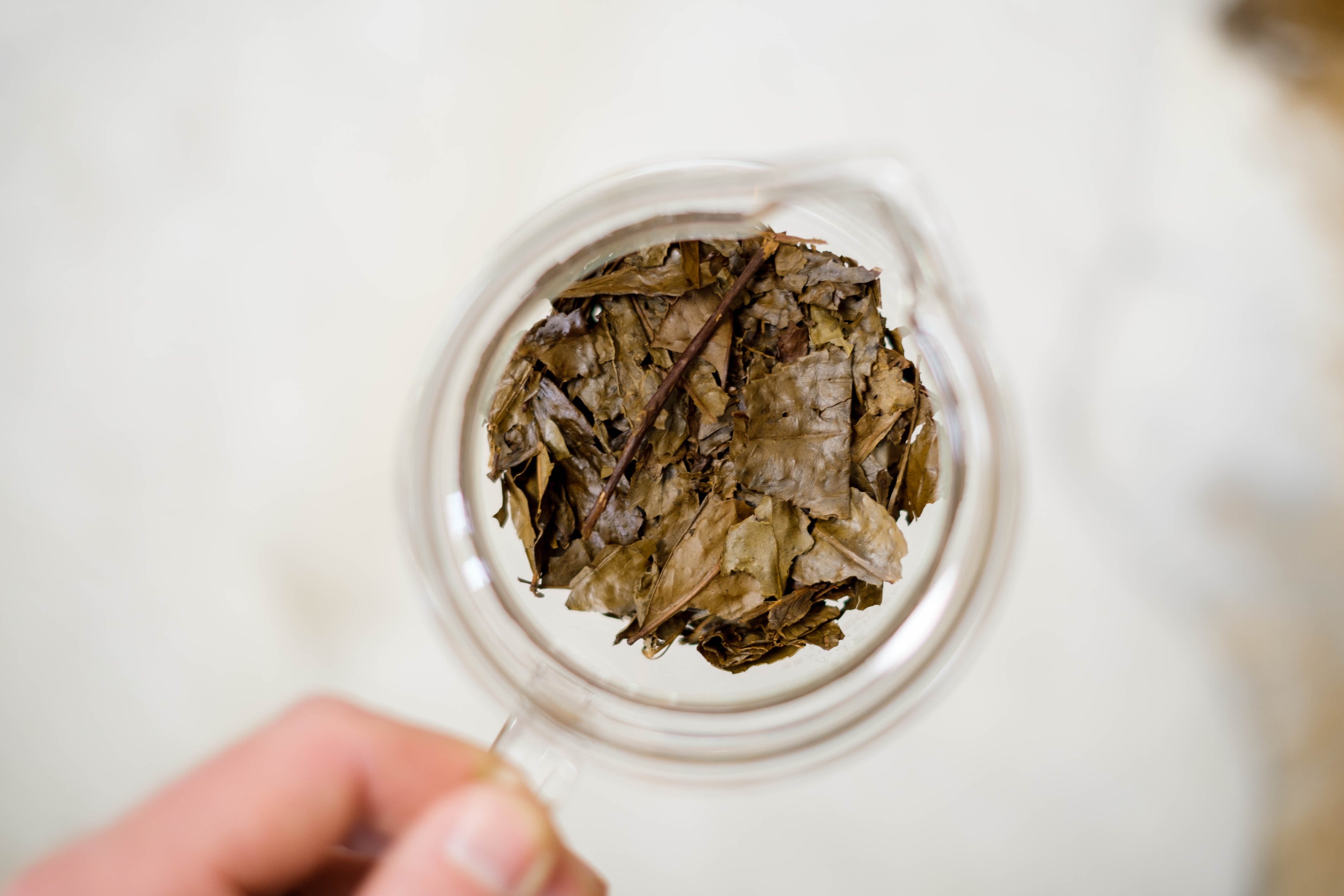 Organic kyobancha loose leaf tea. Roasted green tea from Kyoto, Japan – Mizuba Tea Co.