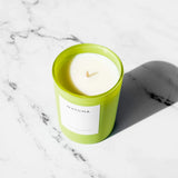 matcha scented candle
