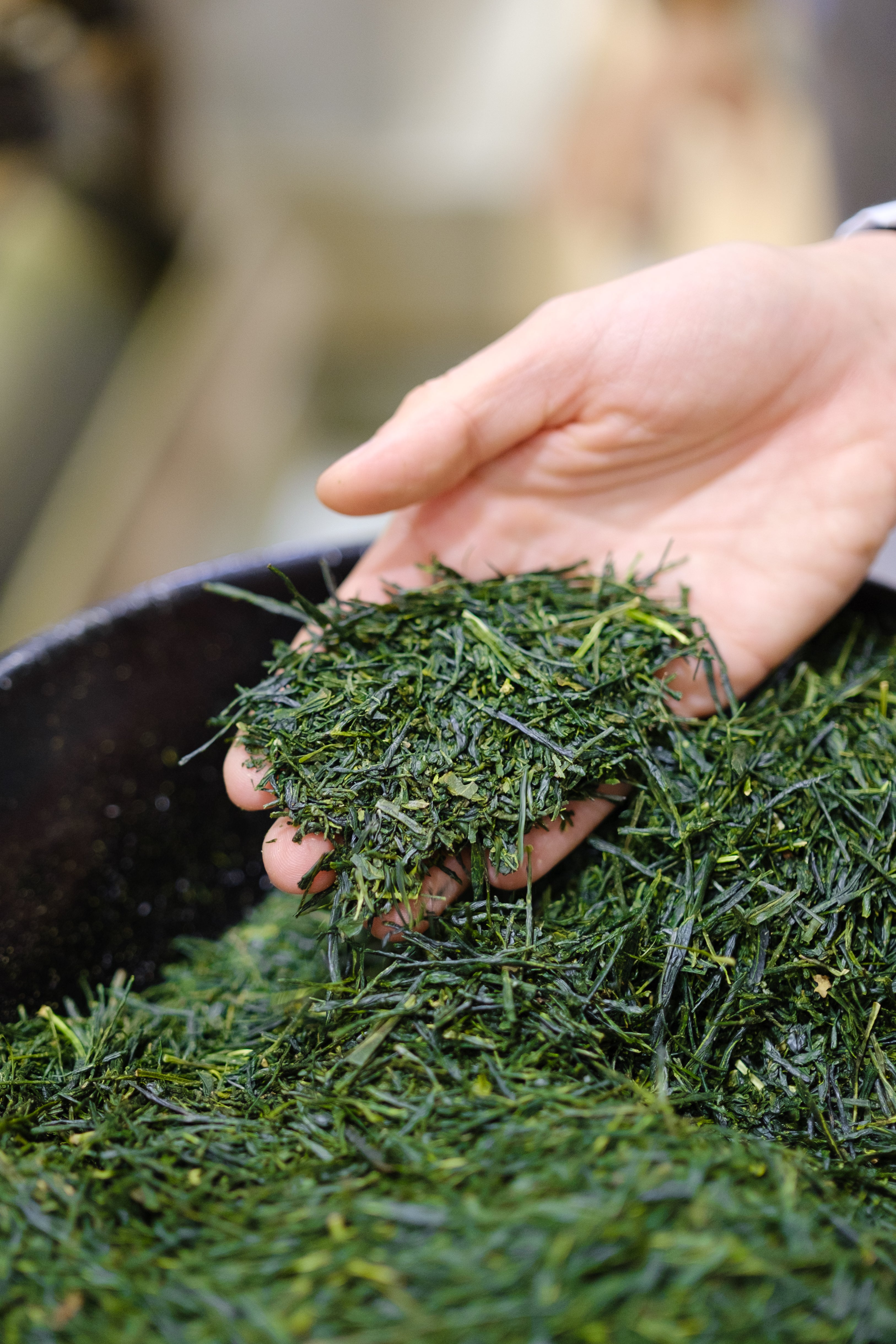 Fresh Japanese Sencha Green Tea