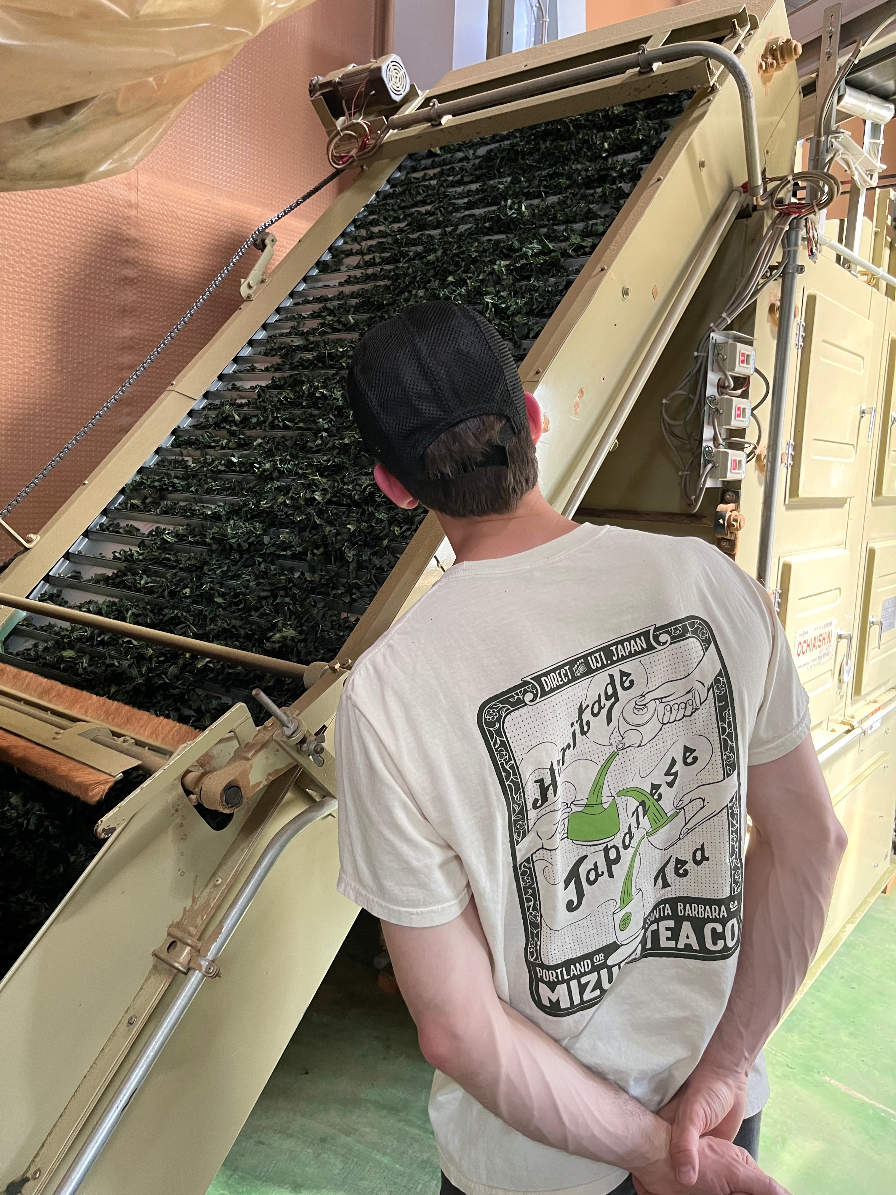 Man wearing Mizuba Matcha tshirt looking at loose leaf tea production in Japan