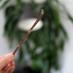 Sesame Chashaku Matcha Scoop – Mizuba Tea Co.