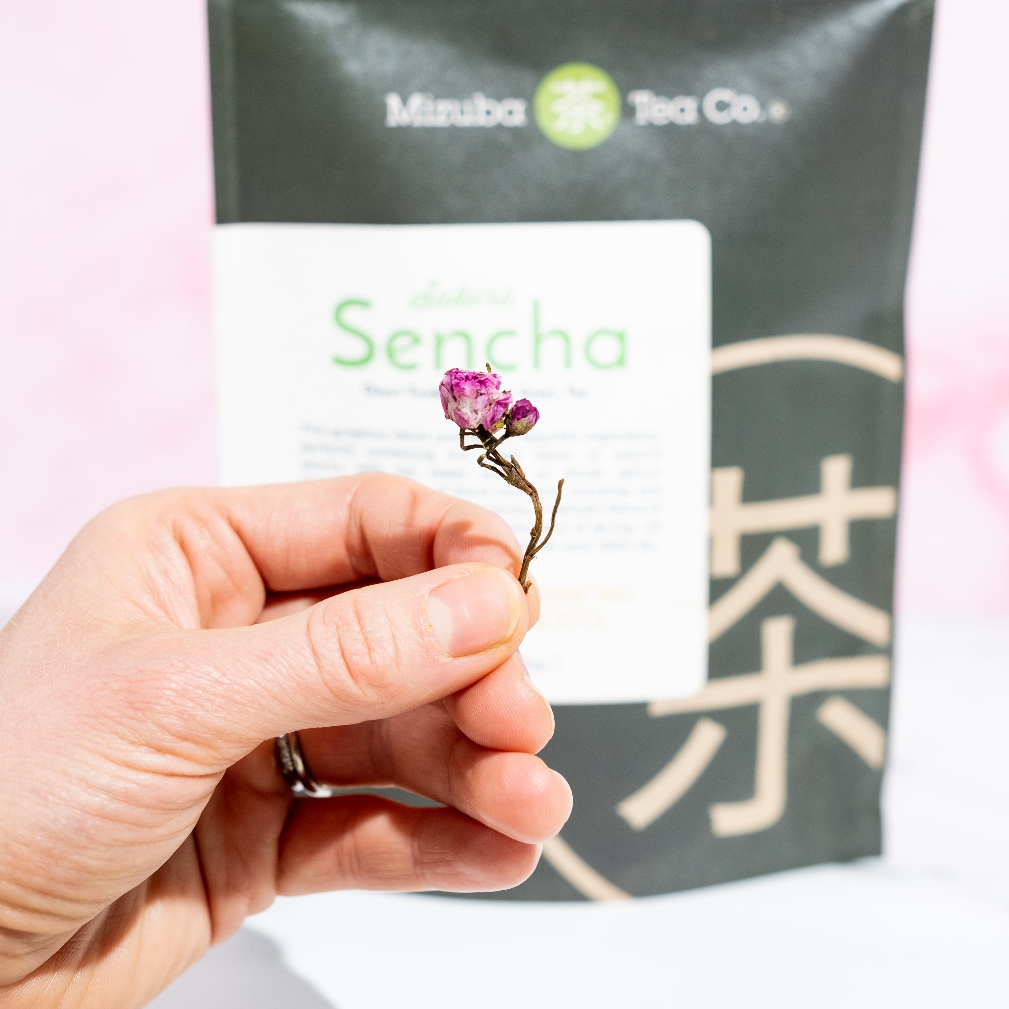 Cherry blossom green tea