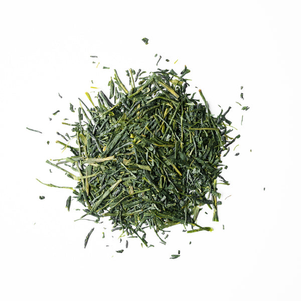 Single Cultivar Sencha Green Tea