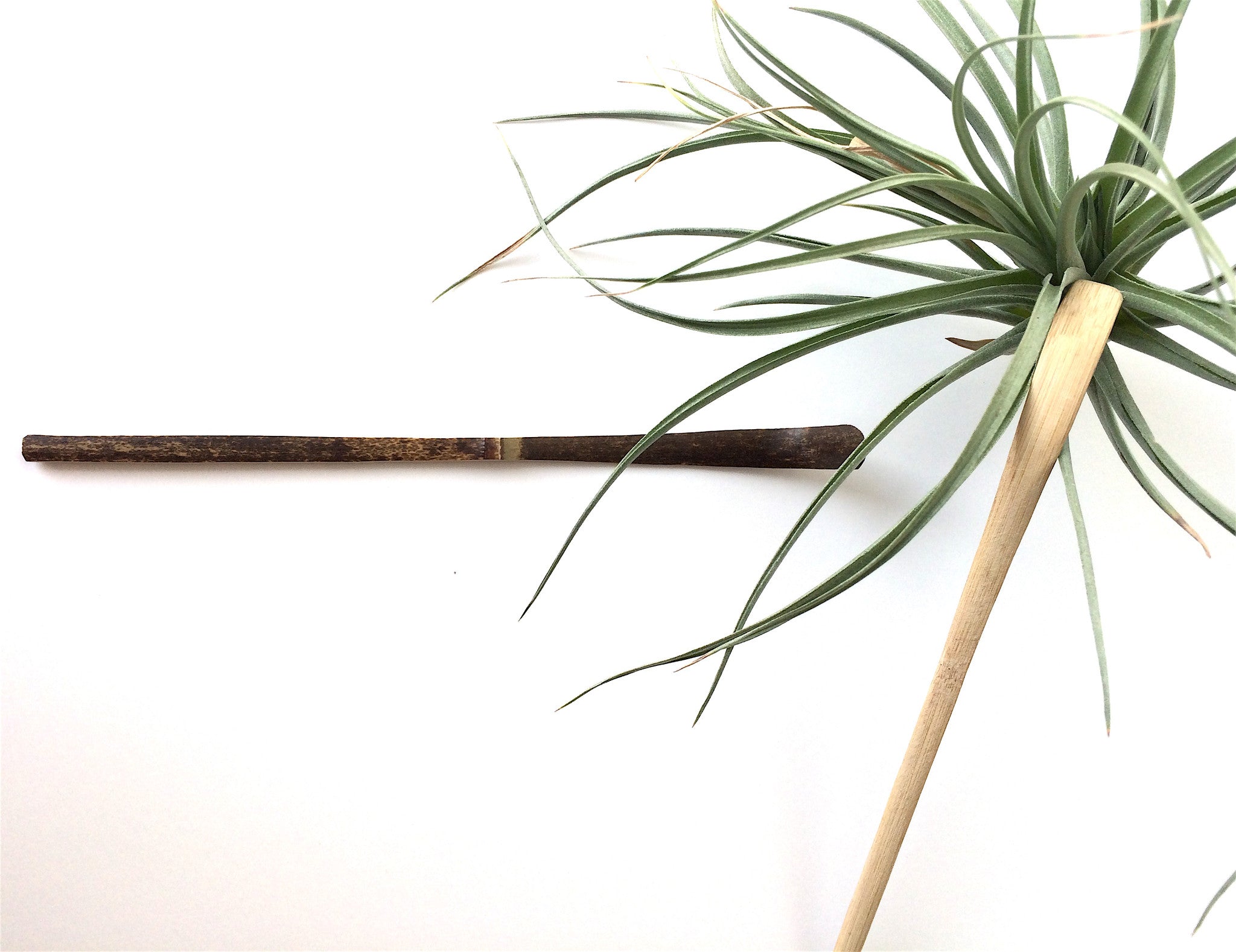 Handmade Chashaku matcha scoop