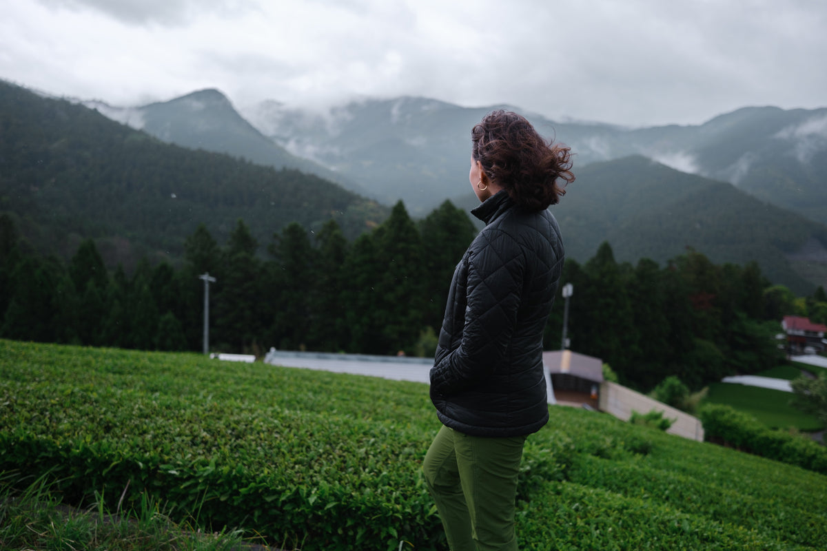 Japanese Ceremonial Matcha from Honyama: The Mountain Origins of Mizub ...