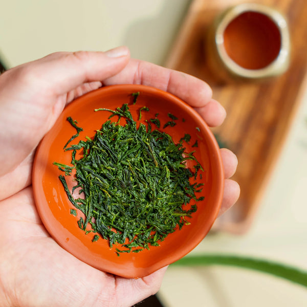 Tailor bulk tea hotel