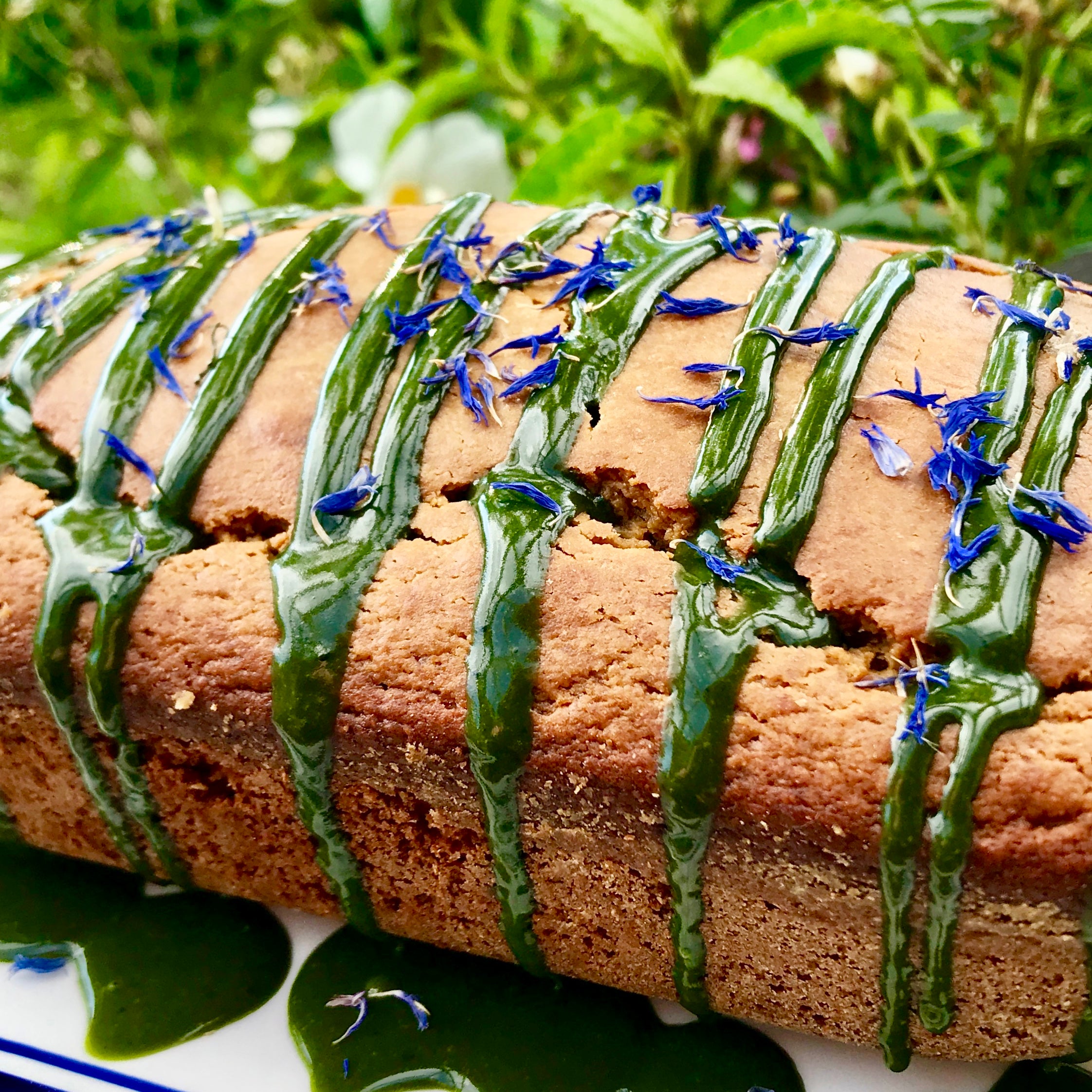 Matcha Green Tea Cake. Citrus Olive Oil Yogurt Cake Recipe
