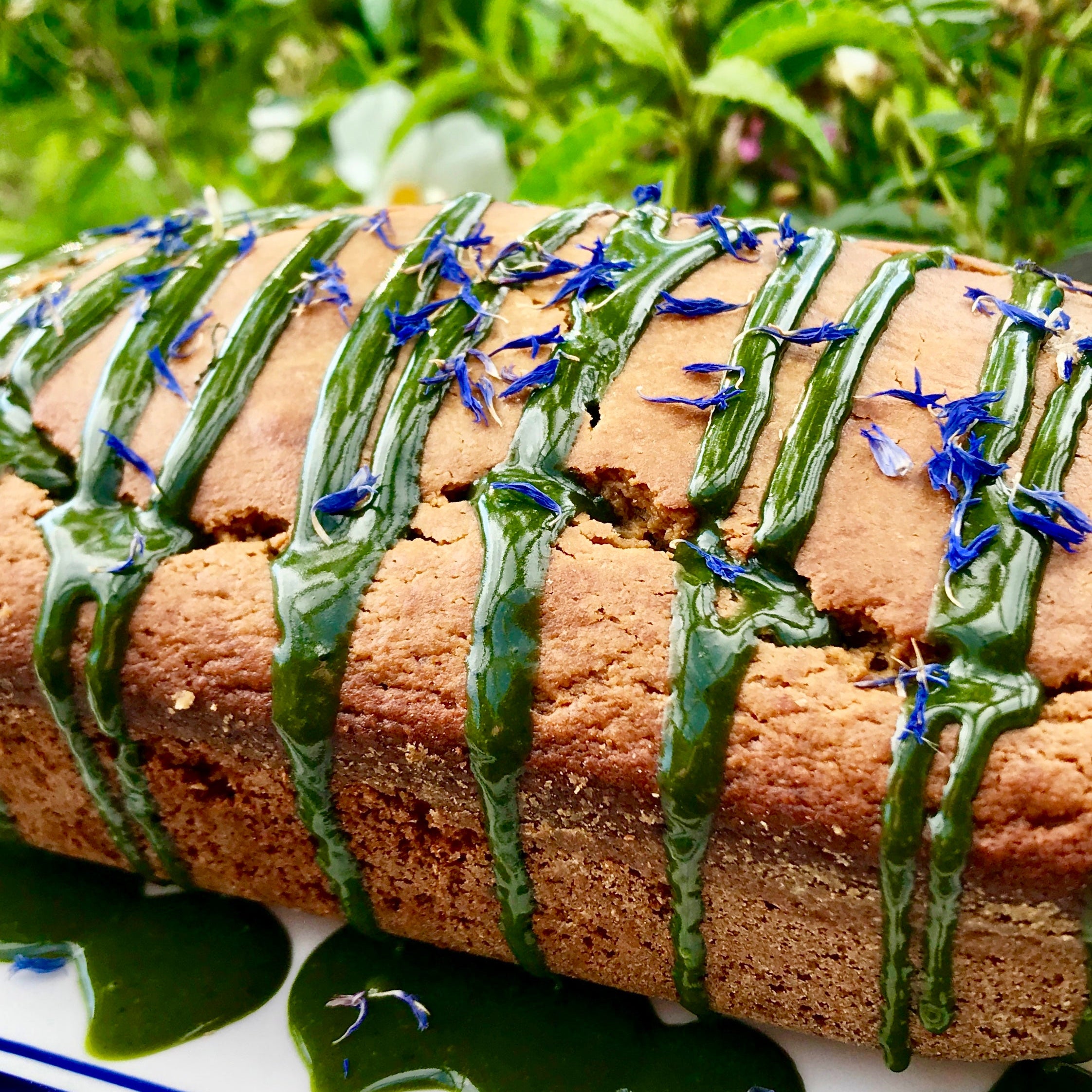 Matcha Green Tea Cake. Citrus Olive Oil Yogurt Cake Recipe