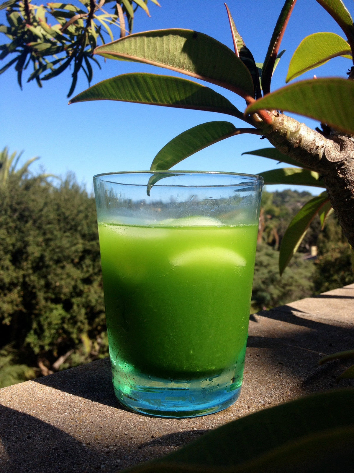 Iced Matcha Recipe