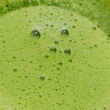 Yūgana Matcha Green Tea