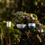 Two ceramic bowls with a blue gradient on a mossy surface with tin labeled Mizuba Tea Co. 'MATCHA' in the background.