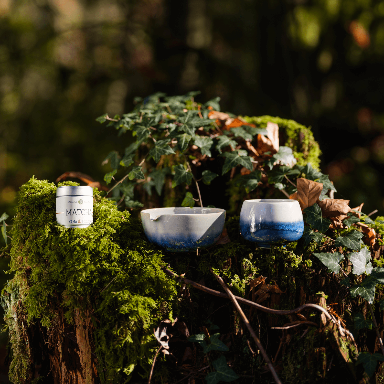 Two ceramic bowls with a blue gradient on a mossy surface with tin labeled Mizuba Tea Co. 'MATCHA' in the background.
