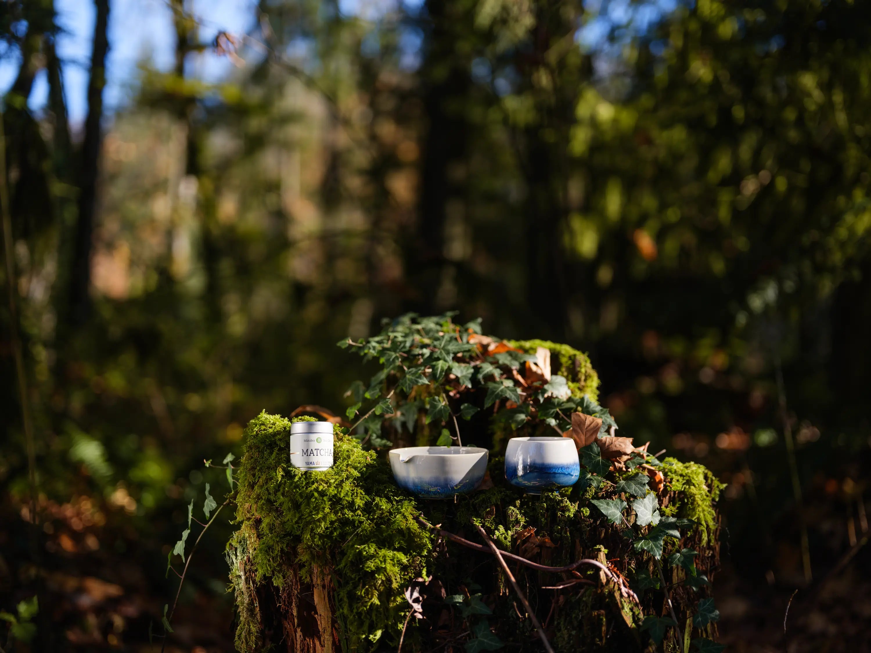 Matcha and Chawan on a moss covered tree trunk in the woods