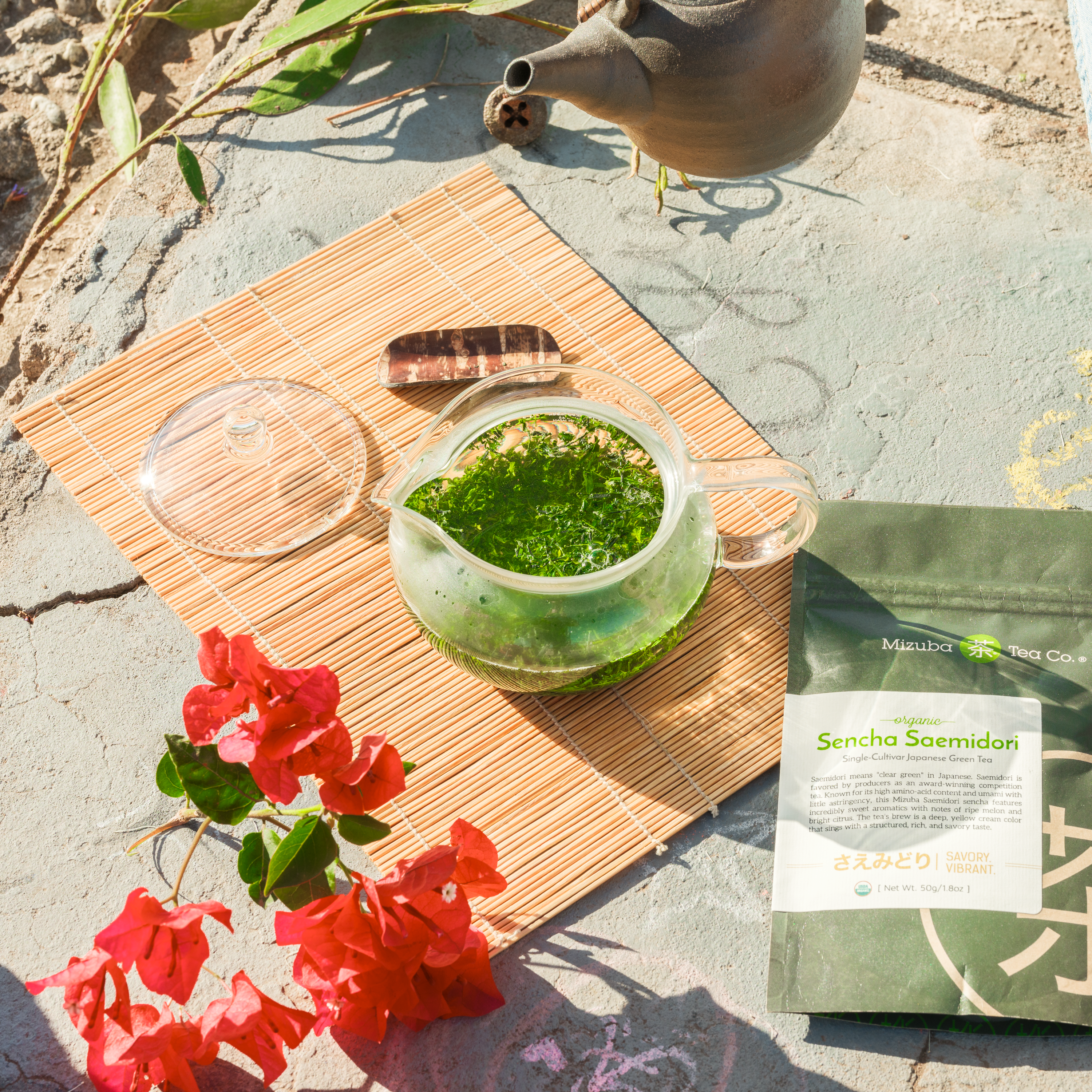 Loose leaf sencha brewing in a glass tea pot outdoors – Mizuba Tea Co.