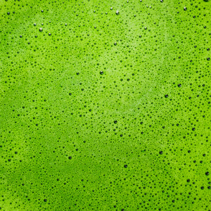 Shirakawa Matcha green tea closeup