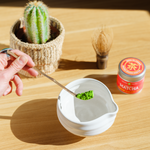 A hand uses a chashaku matcha scoop to lower powdered green tea into a chawan tea bowl – Mizuba Tea Co.