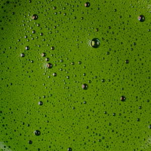 Pure Japanese Matcha Green Tea Microfoam