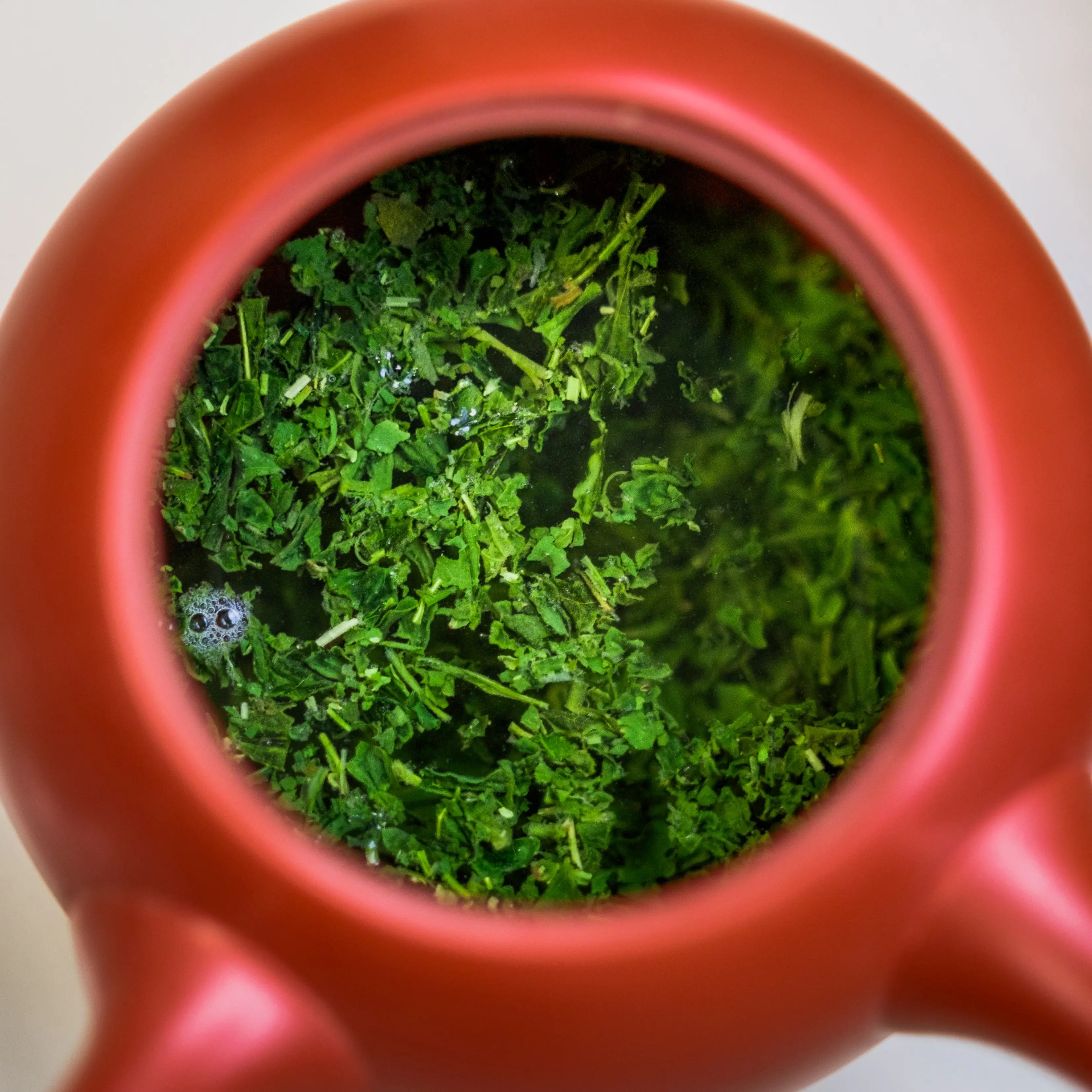 Mizuba Sencha Saemidori brews in a Japanese Kyusu tea pot