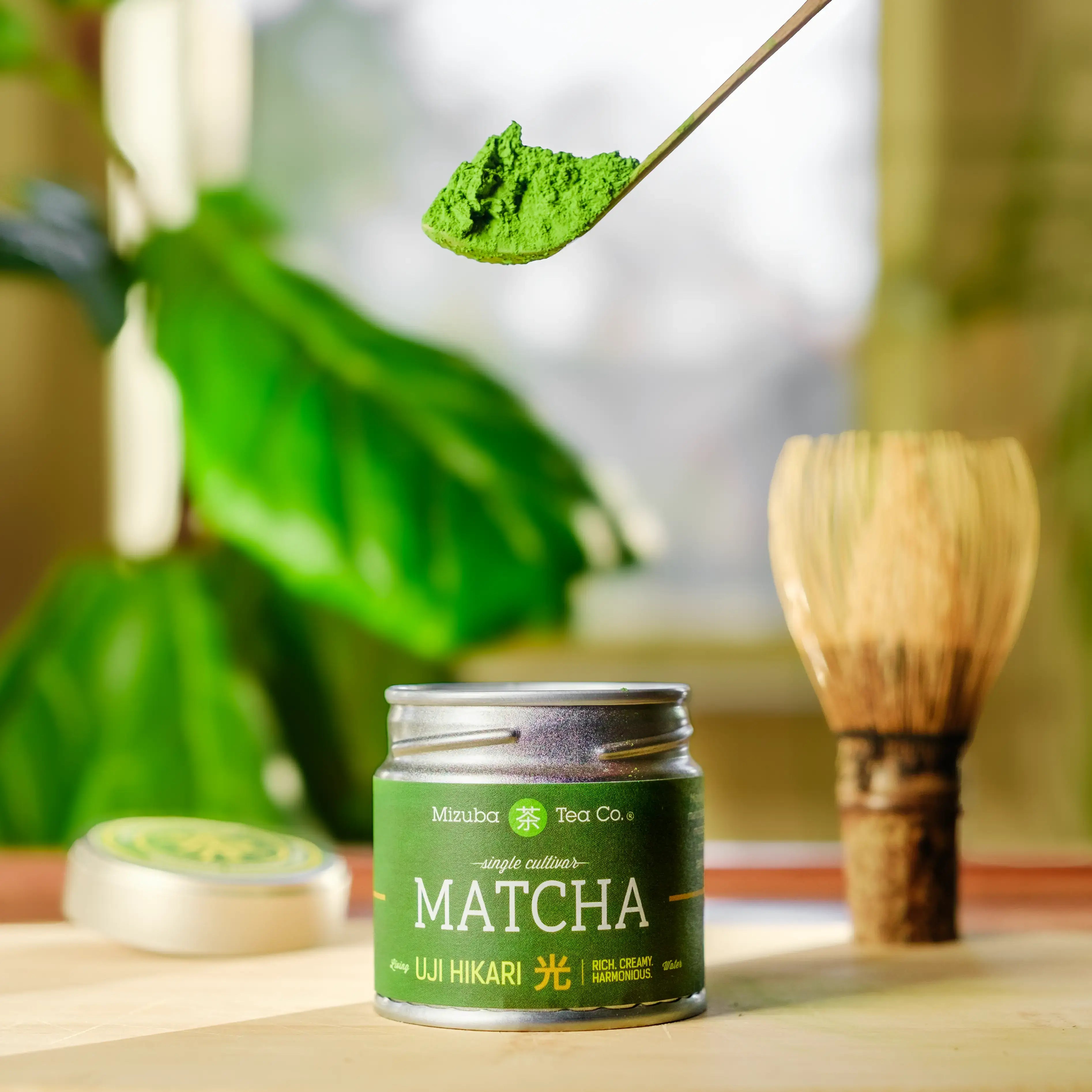 Uji Hikari ceremonial matcha green tea on a chashaku matcha spoon - Mizuba Tea Co.