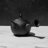 Black Tokoname Kyusu Teapot