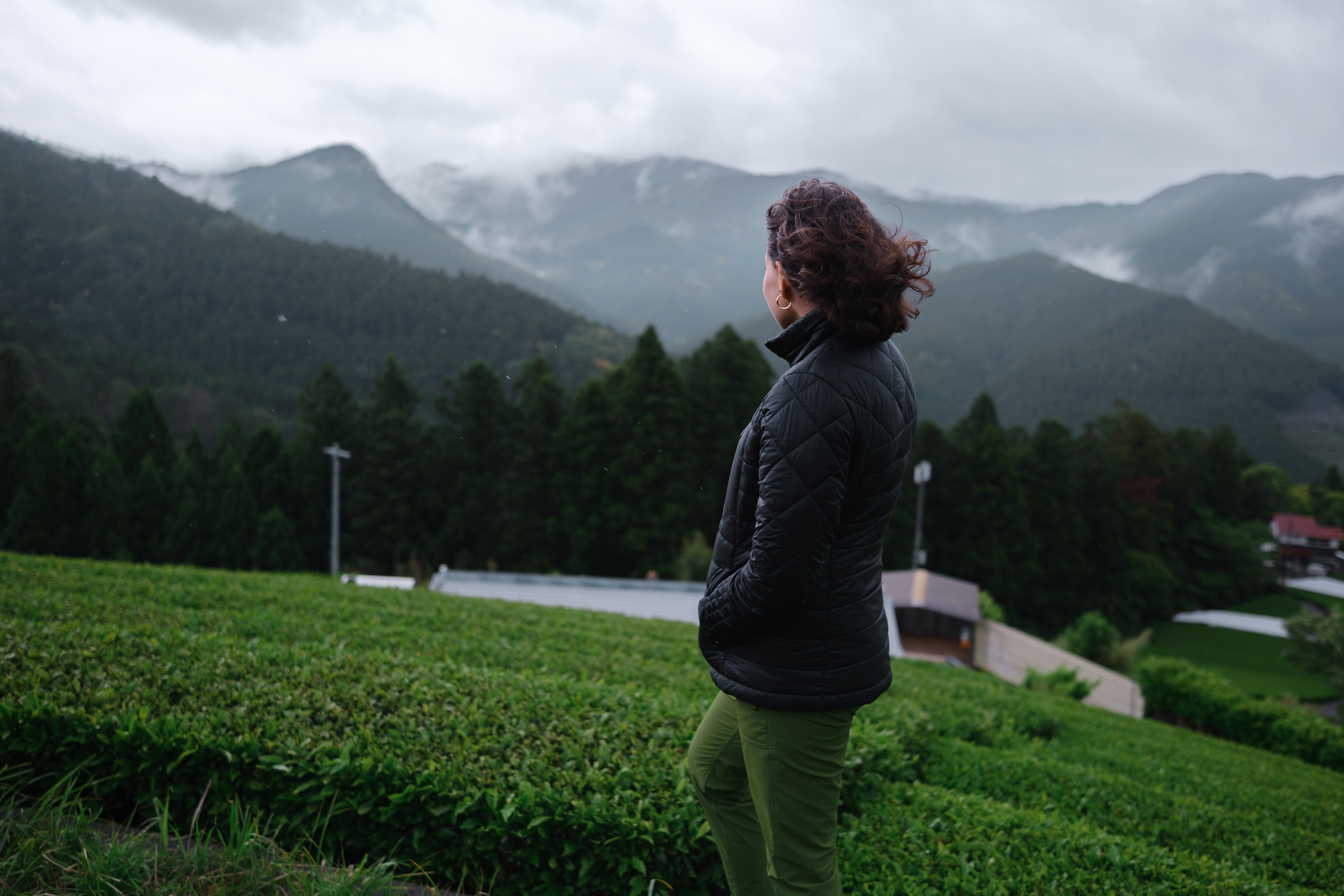 A woman stands looking at the scenery in a Japanese tea field located high in the misty mountains of Shizuoka