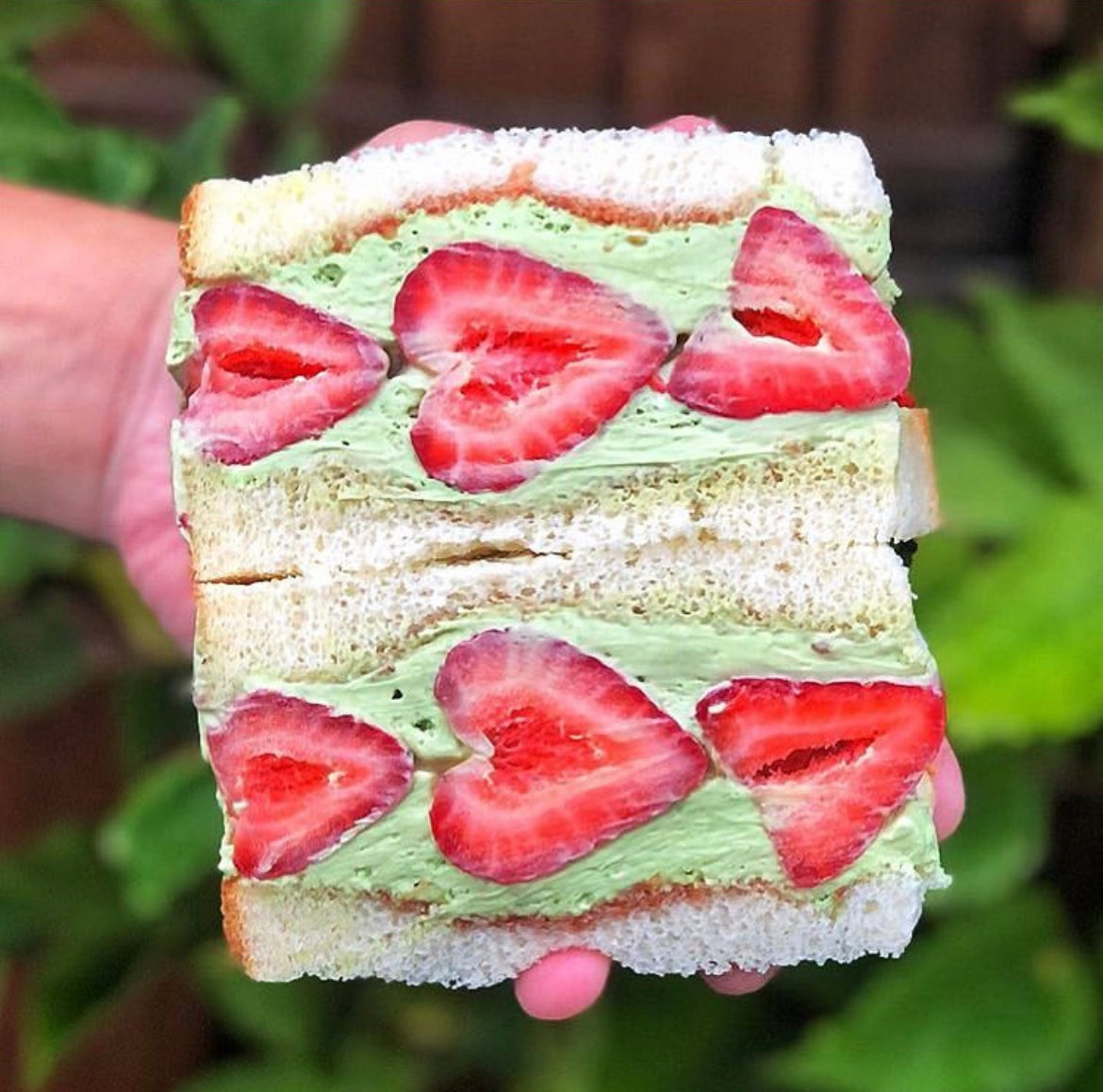 Ichigo Matcha Shokupan Fruit Sando with Mizuba Tea Co. Matcha Green Tea