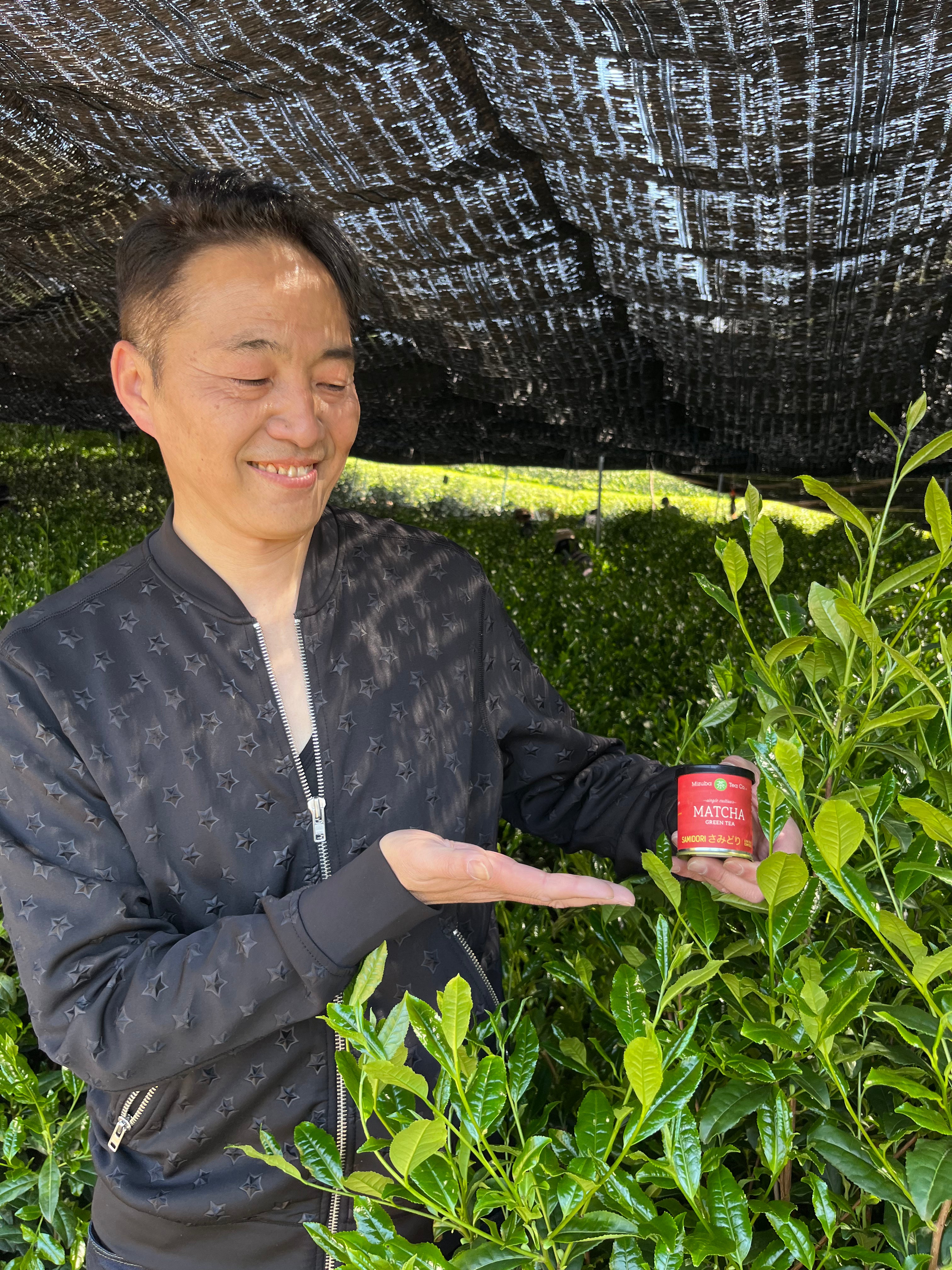 Kiyoharu Tsuji makes Samidori Mizuba Matcha Green Tea from his tencha fields in Uji, Japan