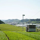 Emperor's Cup Sencha