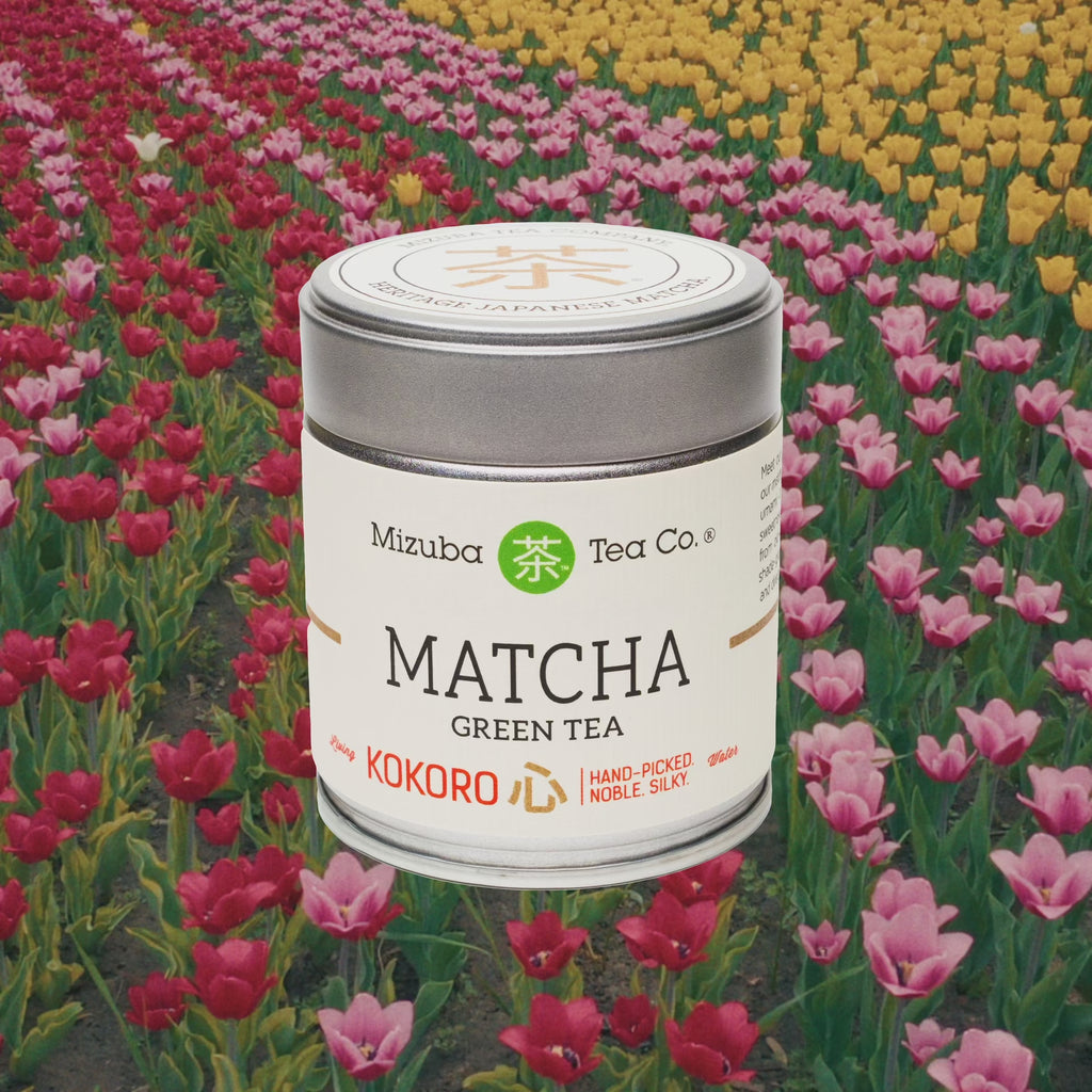 A tin of Kokoro Ceremonial Matcha Green Tea superimposed on a field of tulips - Mizuba Tea Co.