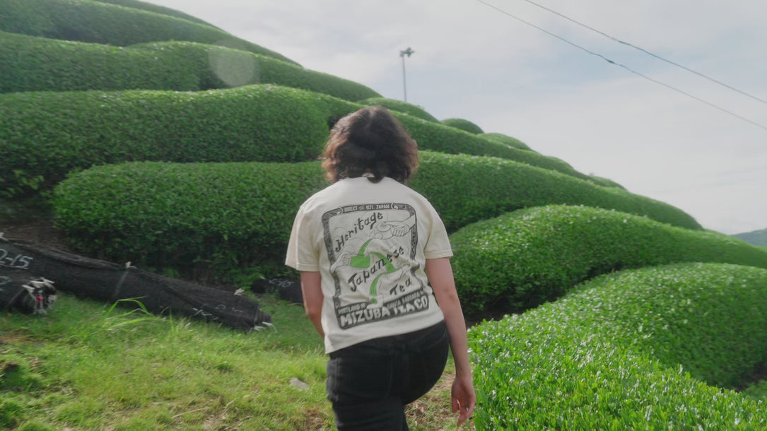 Video of Mizuba Tea Company Partner Farms in Japan