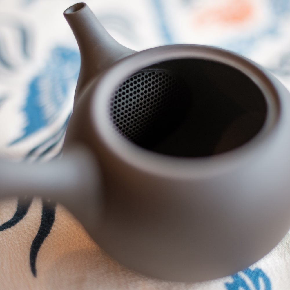 Black Tokoname Kyusu Teapot - Mizuba Tea Co.