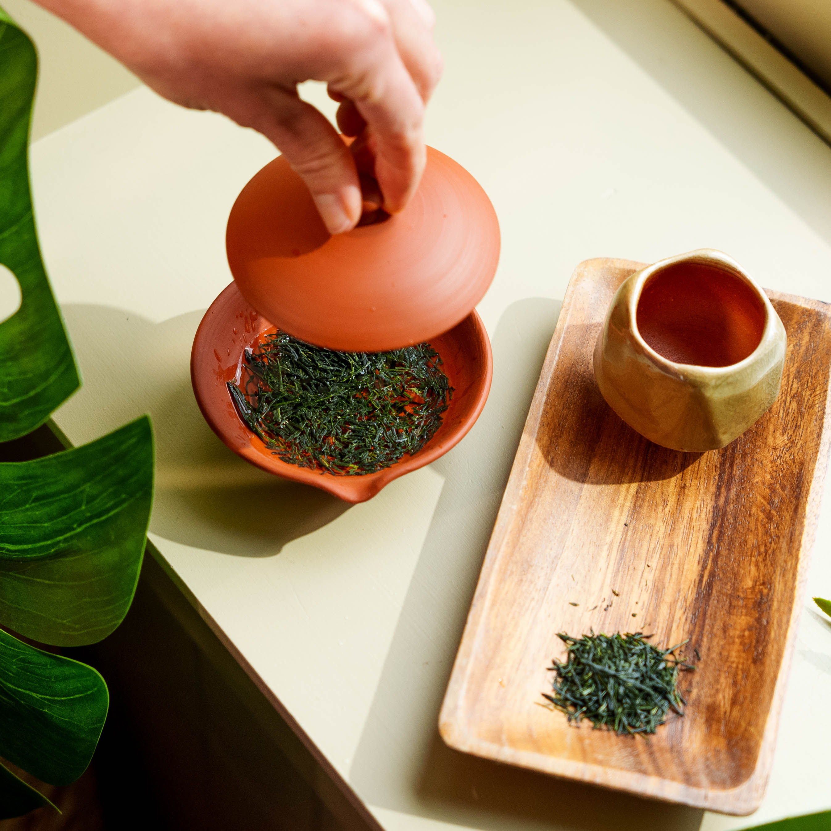 How to brew with a Shiboridashi pot