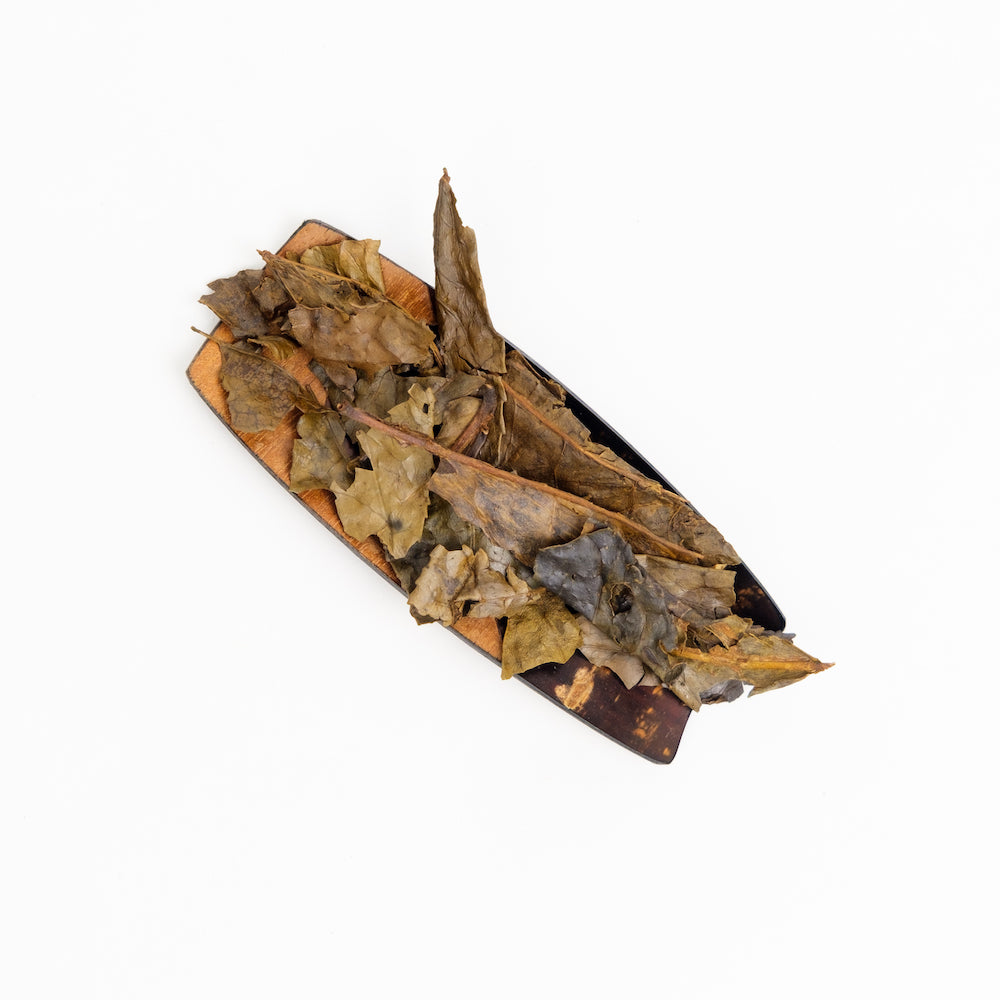 Organic Kyô-bancha Roasted Japanese Loose Leaf Tea by Mizuba Tea Company