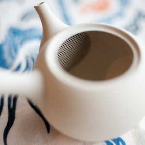 Sandstone Tokoname Kyusu Teapot for Loose Leaf Tea