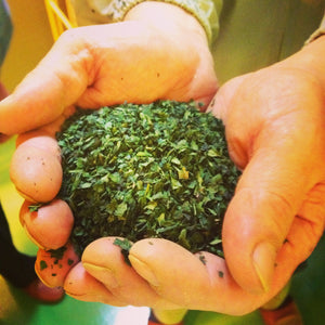 Pure Tencha Japanese Loose Leaf Green Tea. Best tea to make Matcha with! 